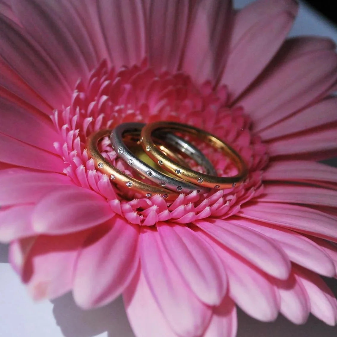 Handmade 18ct rose gold eternity ring set with brilliant cut diamonds sitting in a group on a pink flower.